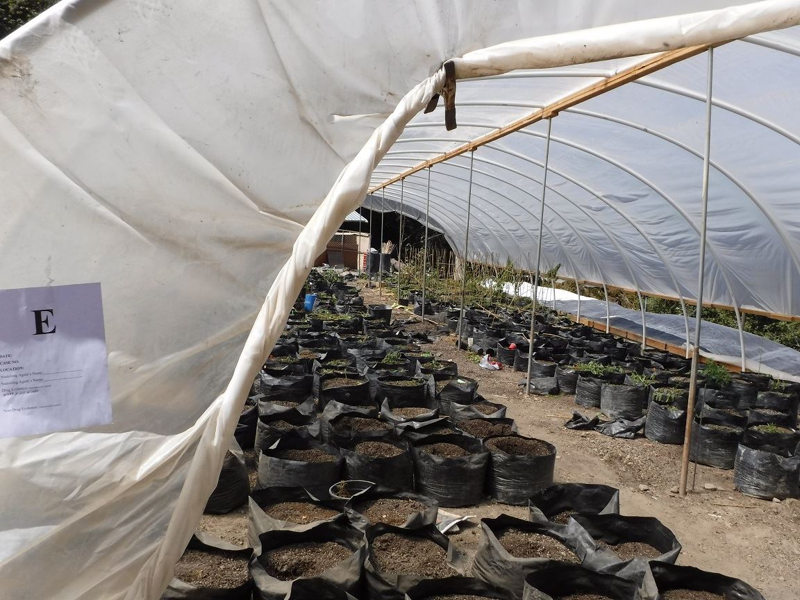 Search Warrant - Case 201603973